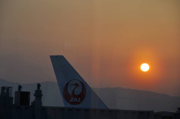 JAL Soleil Couchant